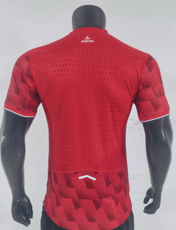 LILLE Version autentica/jugador — Ligue 1