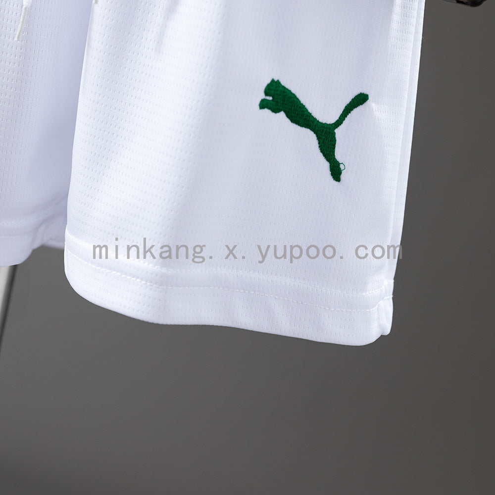 Palmeiras 25/26 Home kids kit Jersey SIZE 16-28