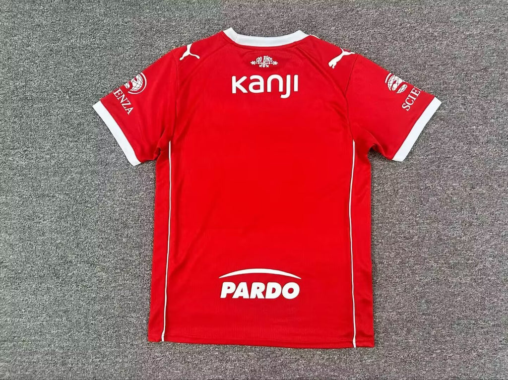 ATLETICO INDEPENDIENTE — LPF AFA Argentina