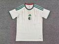 Algeria 2006 World Cup away size S-4XL