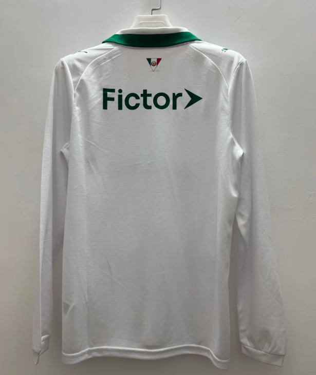 PALMEIRAS Manga larga — Brasileirao