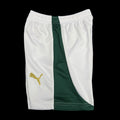 24-25 Palmeiras home green kid kit