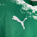 Palmeiras 2024/25 Special Edition Green and white Jersey