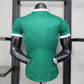 25/26 Palmeiras home all sponsors Player Version