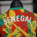 24-25 Senegal Pre-Match Player Version jersey
