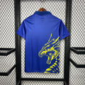 24-25 Real Madrid blue special version jersey