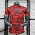 24-25 Arsenal Red Special Player version jersey