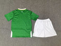 24-25 Ireland home kid kit