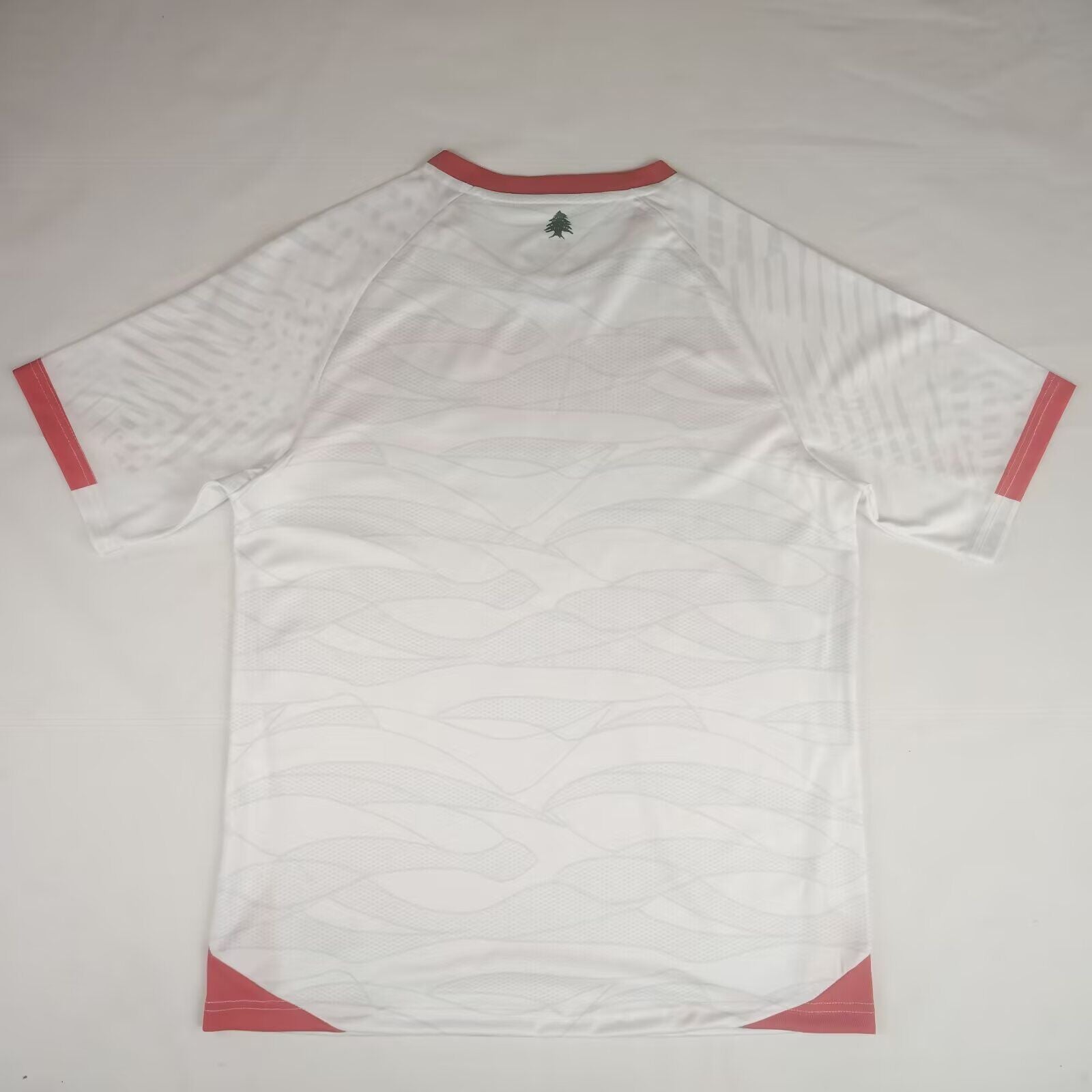 LEBANON — Asia Other