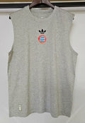 25-26 Bayern gray Vest