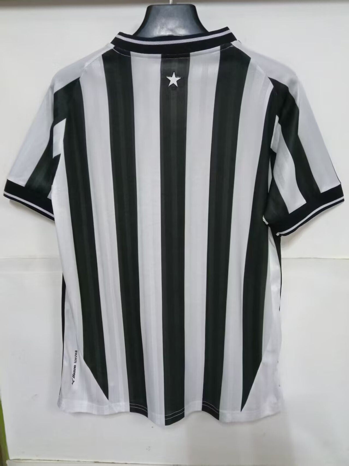 BOTAFOGO — Brasileirao
