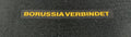 DORTMUND Version autentica/jugador — 26-27 Fake