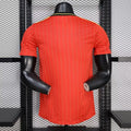 Belgium 2026 Red Retro Model Player Version Jersey S-XXL