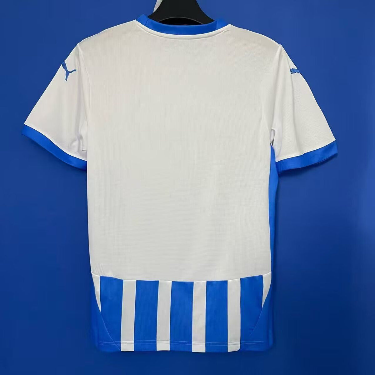 CRAIOVA — UEFA