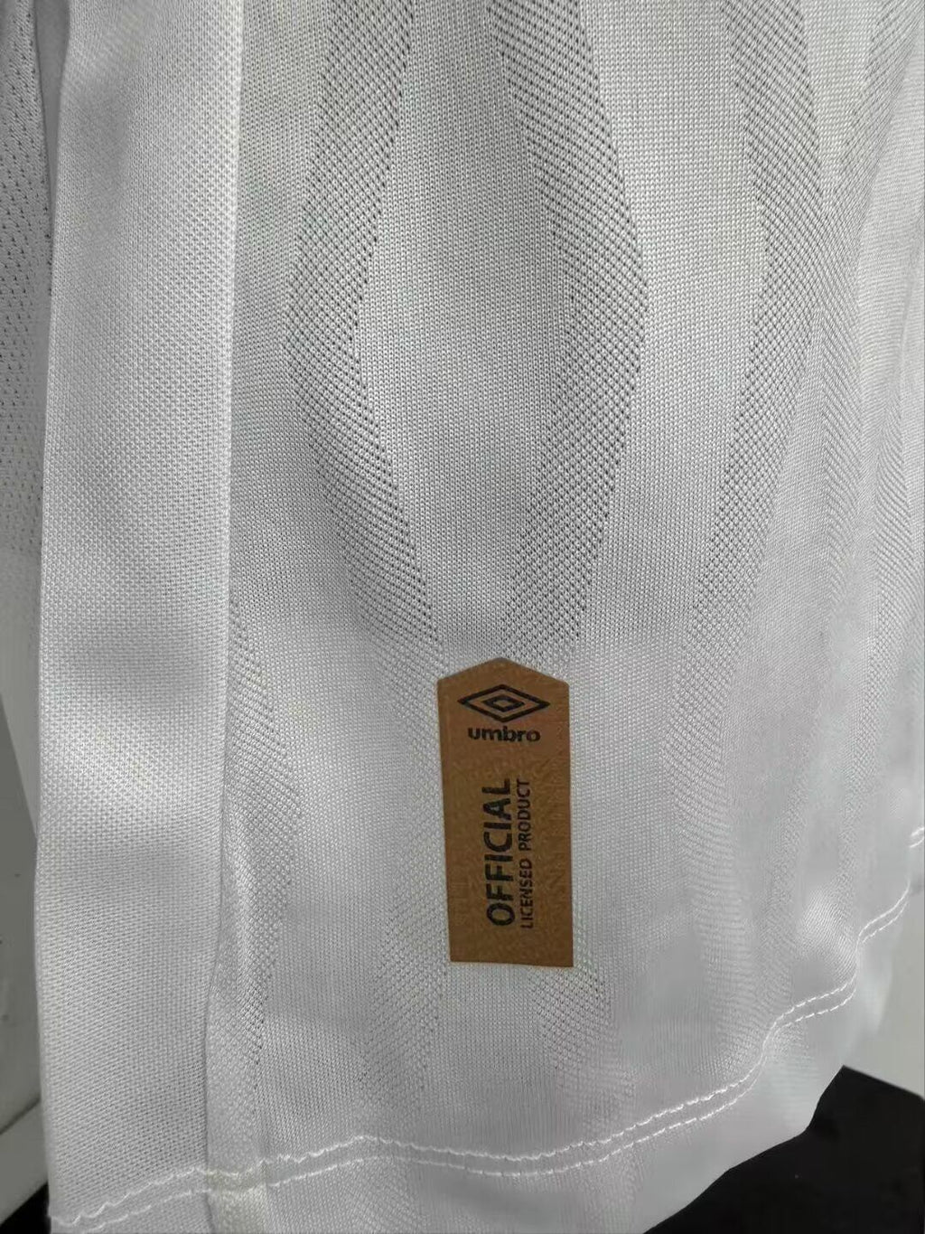 SANTOS Version jugador — Brasileirao