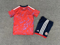 Costa Rica 2026 World Cup Home Kid kit size 16-28