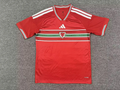Wales 2026 Home soccer jersey size S-4XL