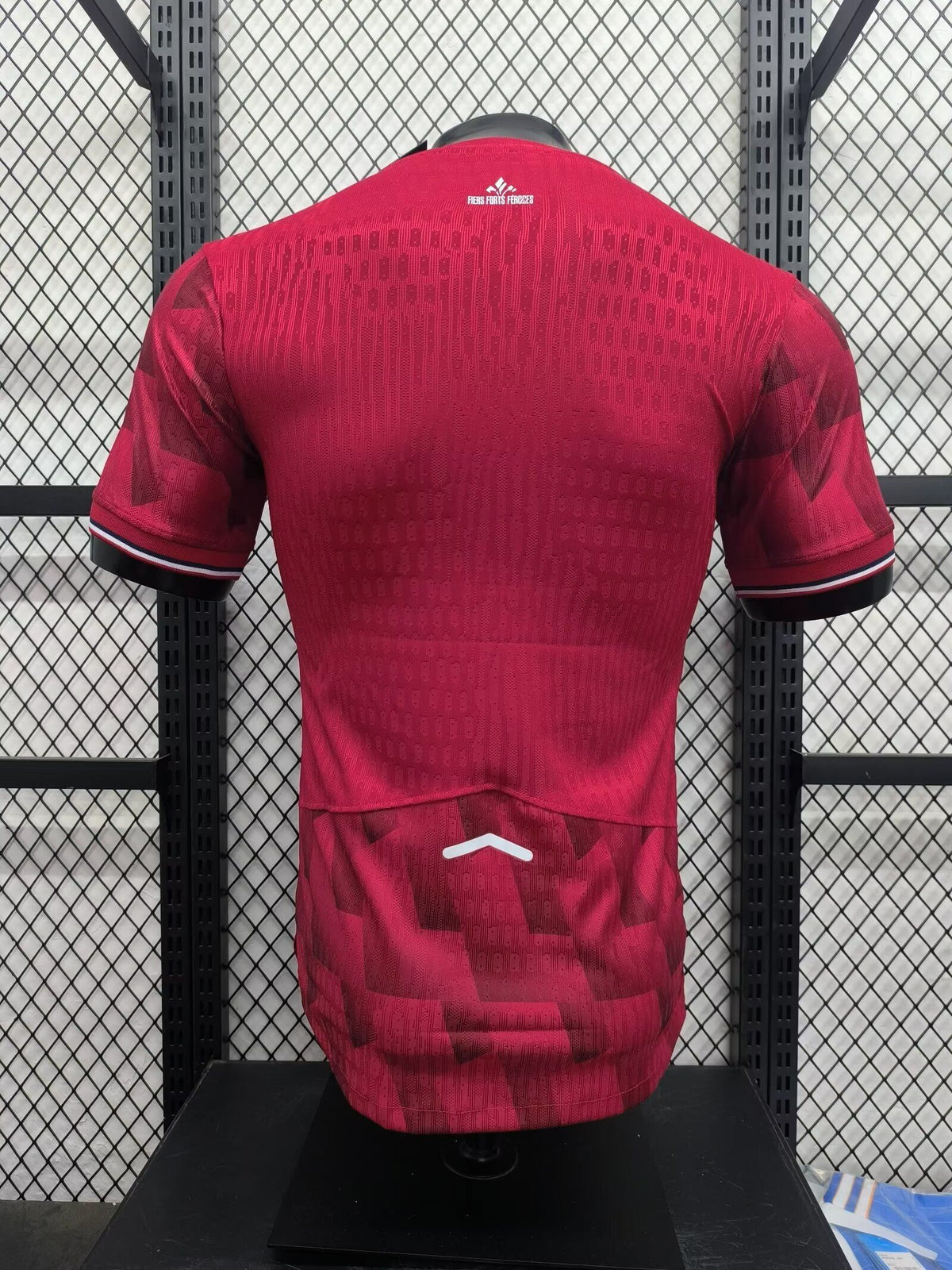 LILLE Version jugador — Ligue 1