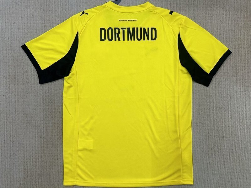 Dortmund 2025/26 yellow special jersey size S-2XL