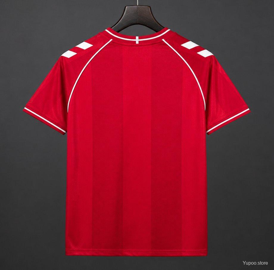 Denmark 2026 World Cup Hpme soccer jersey S-4XL