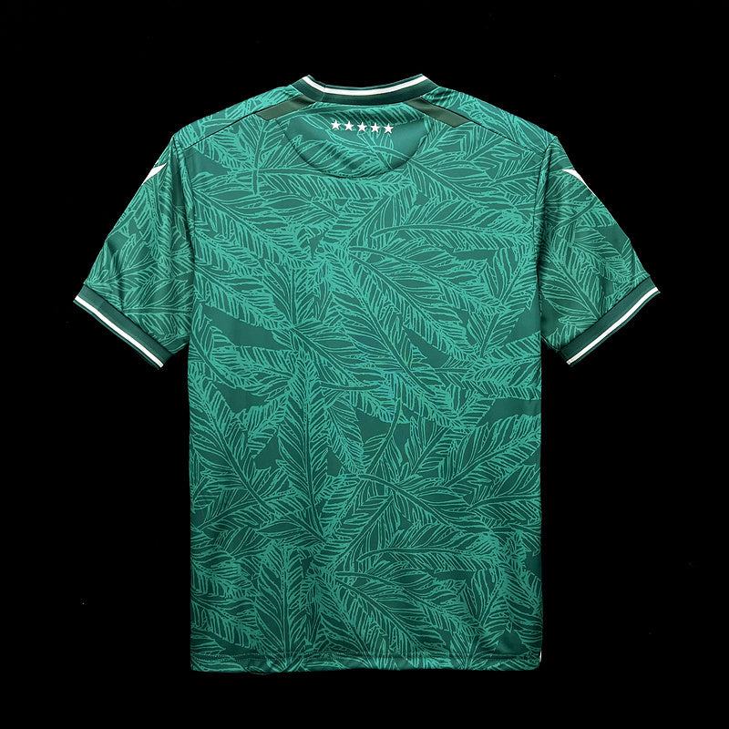 24-25 Santiago Wanderers home soccer jersey