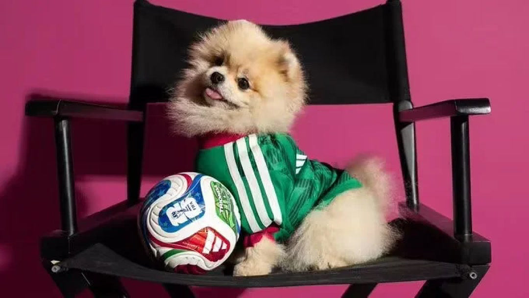 Mexico 2026 WORLD CUP PET JERSEY size XS-XL