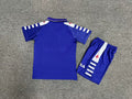 98-99 fiorentina home retro kid kits
