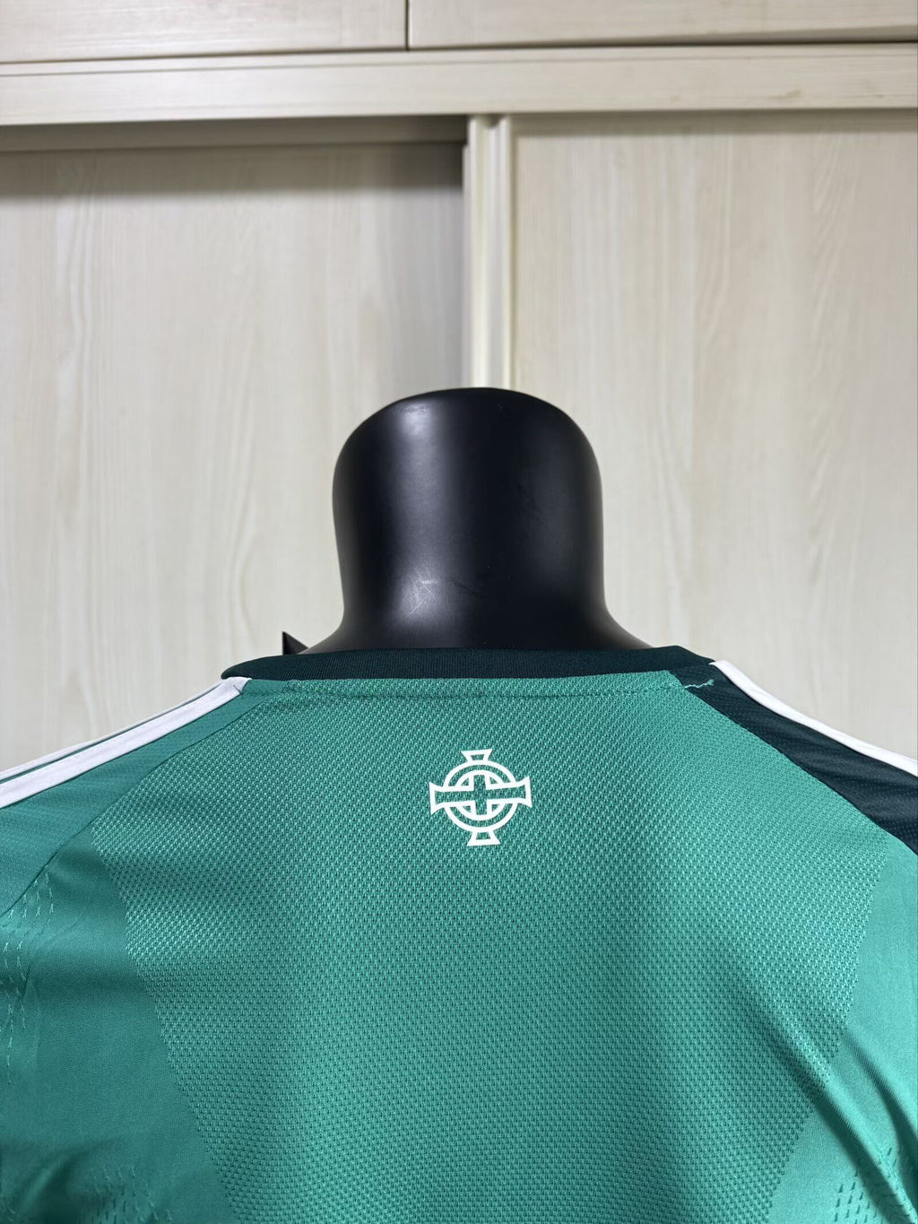 NORTHERN IRELAND Version jugador — Europe Other