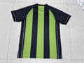 AMERICA FUTEBOL CLUBE — Brasileirao