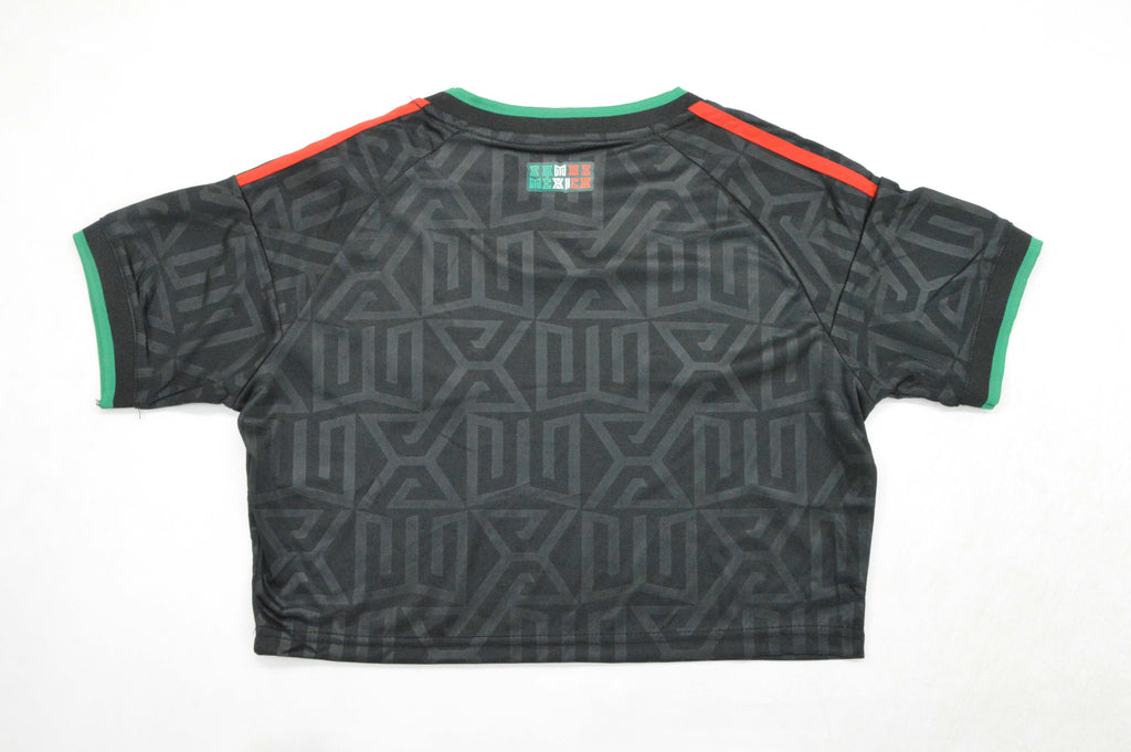 MEXICO CROP — World Cup 2026