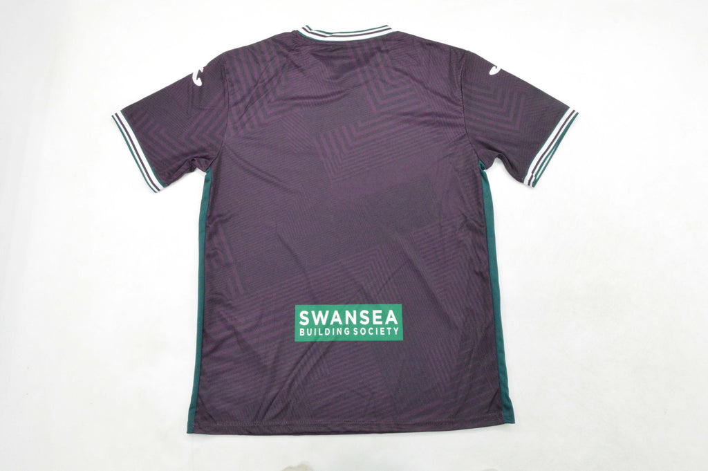 SWANSEA — Premier League - Championship