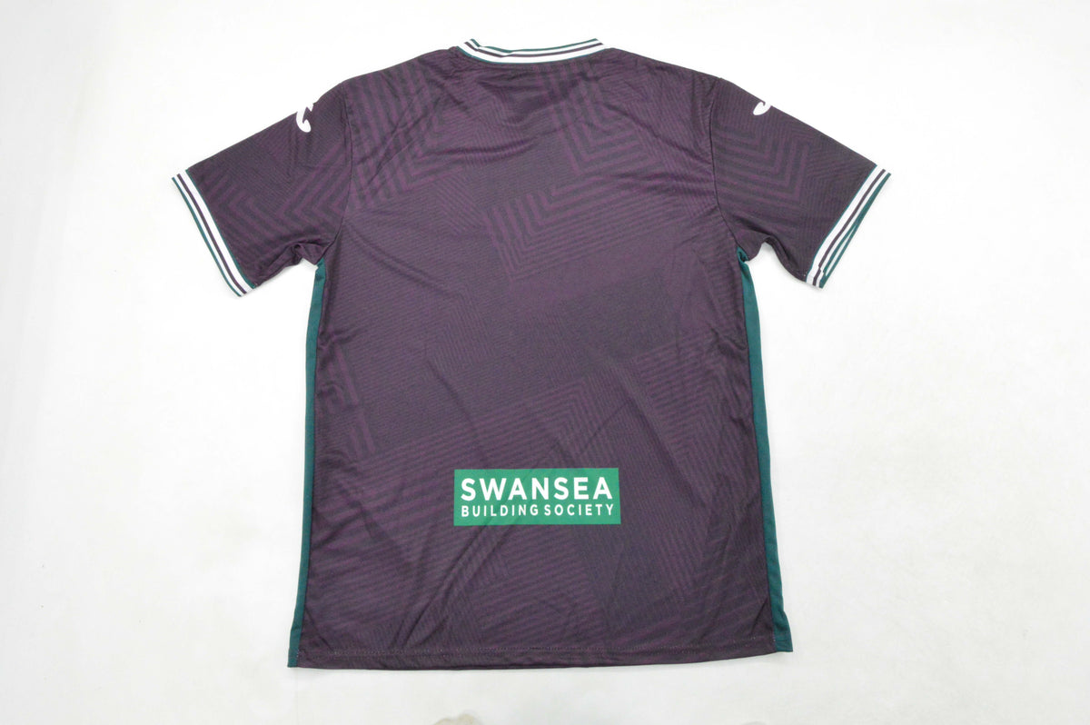 SWANSEA — Premier League - Championship