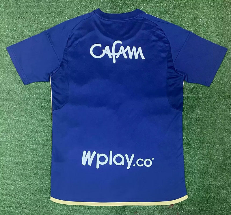 24-25 Hoffenheim home soccer jersey