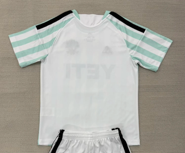 AUSTIN — MLS