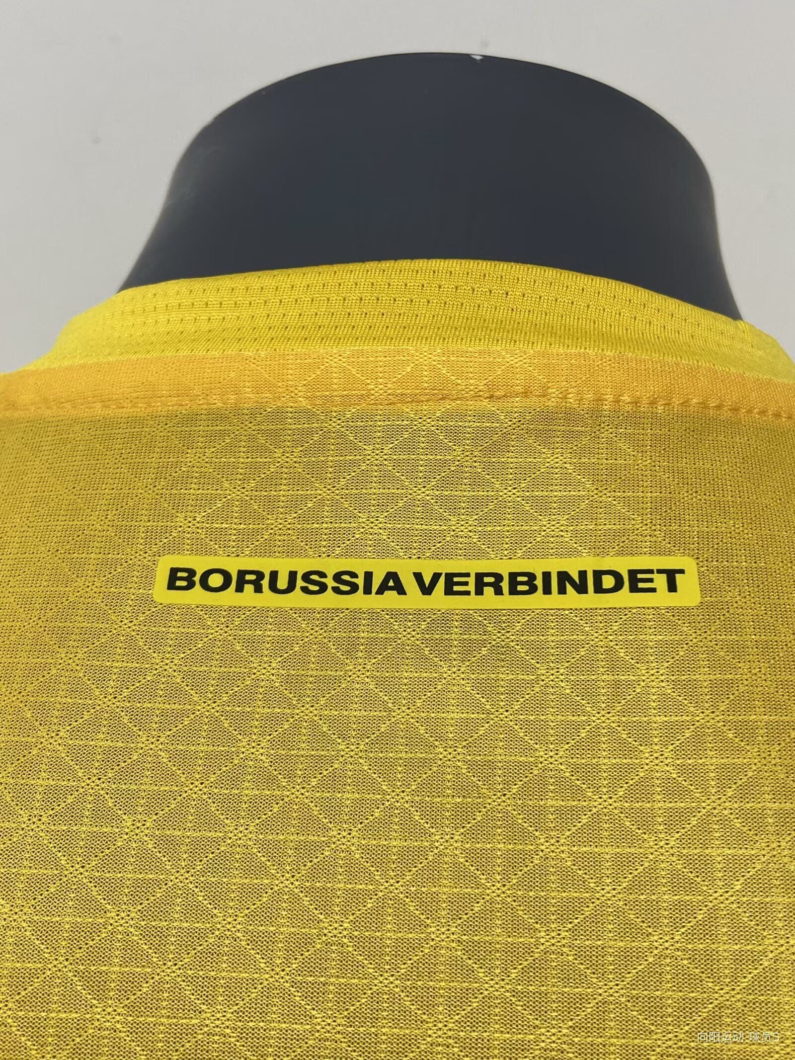 DORTMUND Version jugador — Bundesliga