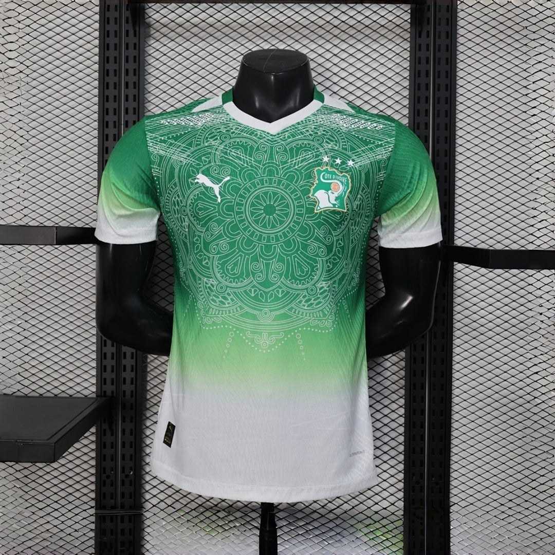 Cote d Ivoire 2026 World Cup Special Edition Green Jersey Player Version S-XXL