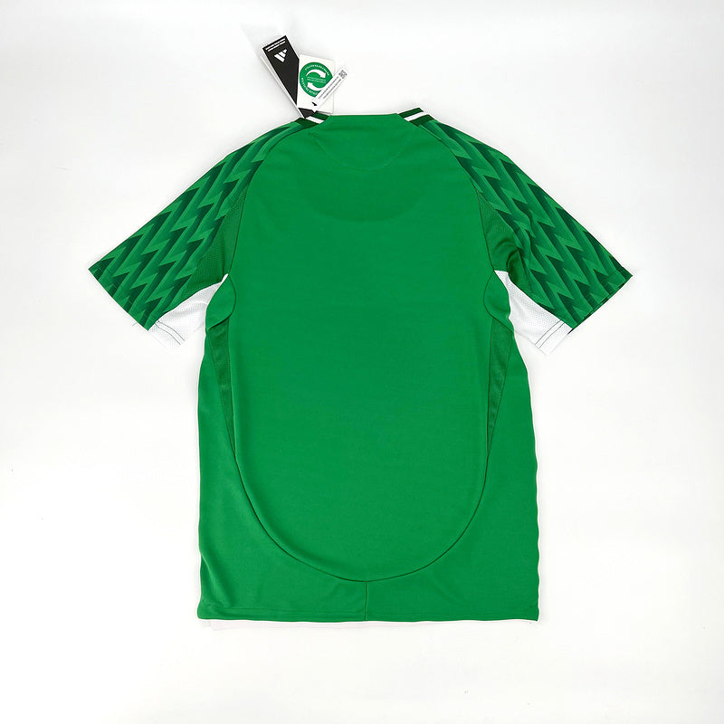 24-25 Palmeiras green special edition jersey