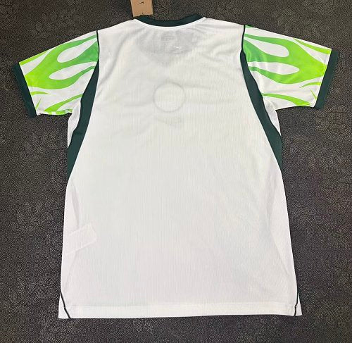 2026 Nigeria Away S-4XL — Jsonwang 26/27