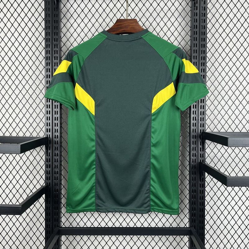24-25 Celtic Green special jersey