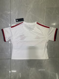 FLAMENGO CROP — Brasileirao