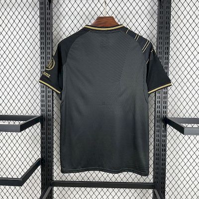 25-26 Bayern Munich Black Gold Special Edition Jersey