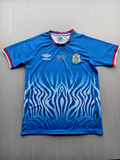 DR Congo 2026 Home soccer jersey size S-4XL
