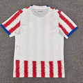 Paraguay 2026 World Cup Home Jersey S-4XL