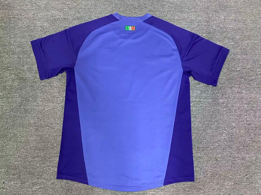 Mexico 2026 World Cup Purple Goalkeeper Jersey size S-2XL