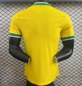FLAMENGO CLIMACHILL — Brasileirao