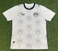 Egypt 2026 World Cup Away Jersey S-4XL