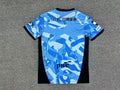 KAWASAKI FRONTALE — J1 League Japan