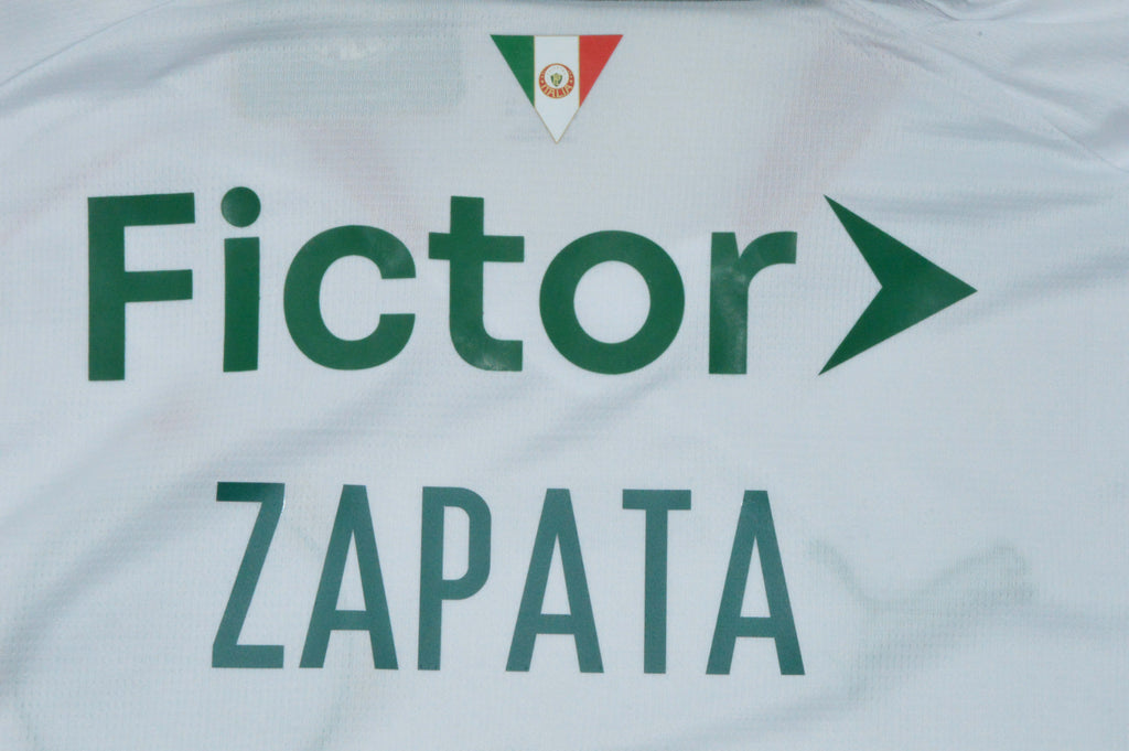 PALMEIRAS — Brasileirao