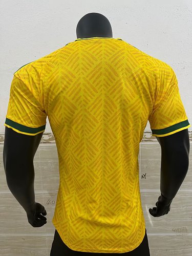2026 South Africa Home Player version S-2XL — Jsonwang 26/27