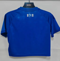 CRUZEIRO CROP — Brasileirao